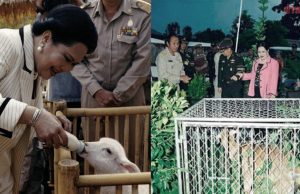 “ขาดทุนของฉัน คือกำไรแผ่นดิน” พระราชดำรัสพระพันปีหลวง สร้างโอกาสคนไทย