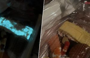 อ.เจษฎา เผยสาเหตุ ซูชิเรืองแสง ได้อย่างไร แนะต้องทิ้ง ไม่ควรกิน