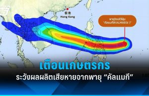 เตือนเกษตรกร ระวังผลผลิตเสียหาย จากผลกระทบพายุ “คัลแมกี”