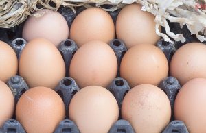 ไข่ไก่ขึ้นราคา! ปรับขึ้นแผงละ 6 บาท มีผลวันจันทร์ 10 พ.ย.นี้