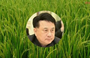 กระทรวงเกษตรฯ เผยโครงการ เปลี่ยนนาปรังล้านไร่ ยังไม่ลงตัว ต้องหารือรายละเอียดเพิ่ม