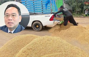 พาณิชย์ ชี้ ราคาข้าวหอมพุ่งตันละพันบาท แตะ16,000 บาท รับมาตรการ นบข.