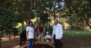 ตานก๋วยสลากภัต ประเพณีเหนือ นายเอนกร่วมสืบสาน