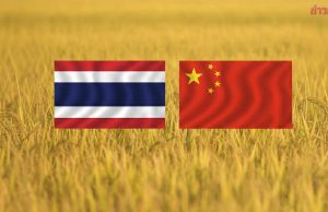 จีทูจีไทย-จีน ระทึก ส่งออกข้าวล็อตแรก 1 แสนตัน ยังลุ้นจีนจะอนุมัติหรือไม่