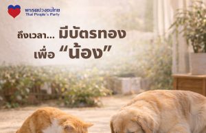 พรรคปวงชนไทย เสนอนโยบายบัตรทองเพื่อน้องหมาและแมว